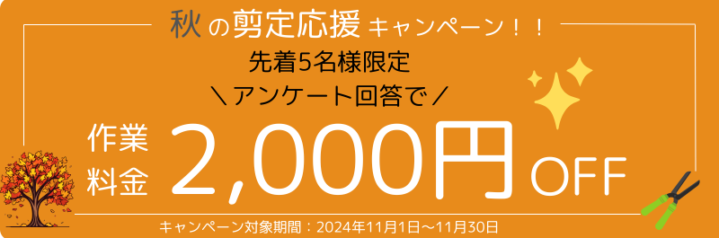 秋の剪定キャンペーン2,000円引き